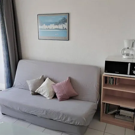 Climatise Avec Terrasse, Piscine Privee Et Acces Mer, - Fr-1-252a-38 Villeneuve-Loubet
